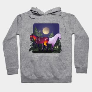 Umbra and Ayla Hoodie